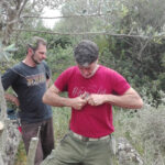 Corso di innesto olivi 2016 a Seneghe: preparazione della marza da innestare con il coltella da innesto