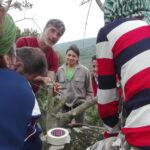 Corso di innesto olivi 2016 a Seneghe: legatura